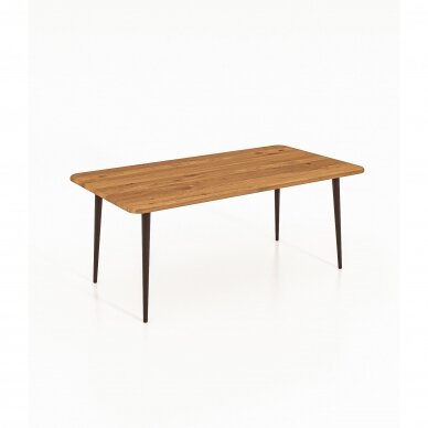 Kavos staliukas, natūralaus ąžuolo, 45x110x60 cm