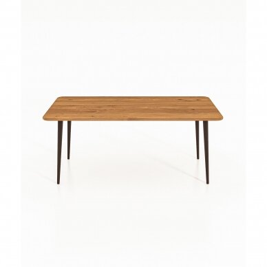 Kavos staliukas, natūralaus ąžuolo, 45x110x60 cm 2