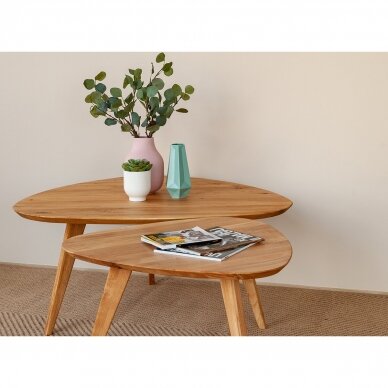 Kavos staliukas, natūralaus ąžuolo, 50x96x95 cm 3